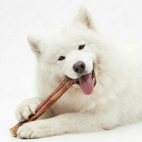 Treats & Chews