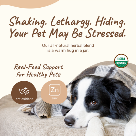 kin+kind Organic Supplement - Healthy Calm