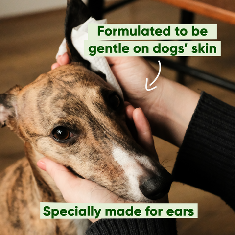 Beco Ear Wipes