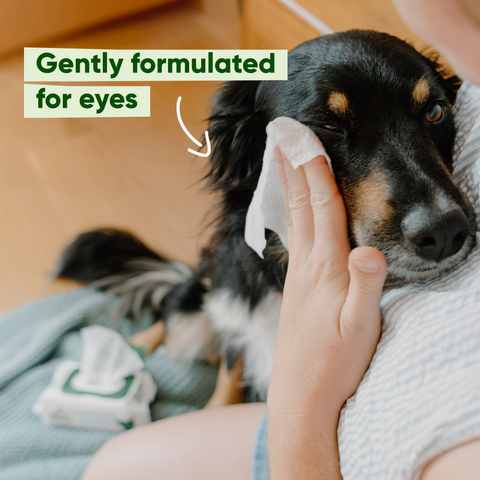 Beco Eye Wipes