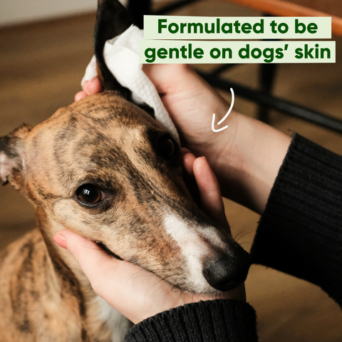 Beco Dog Wipes | Unscented