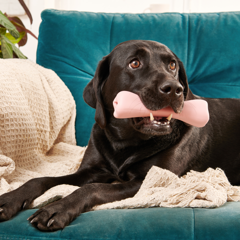 Beco Treat Bone