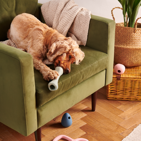 Beco Treat Bone