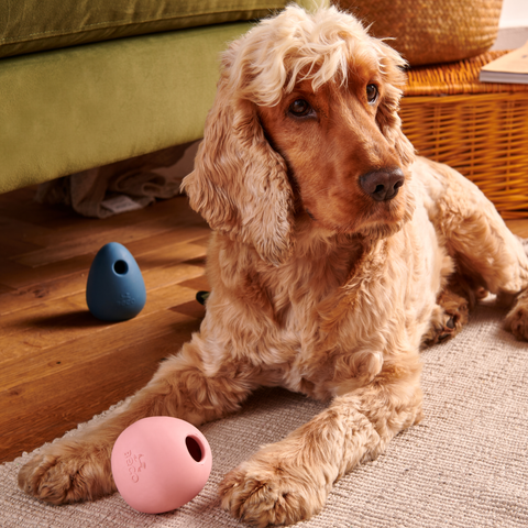 Beco Wobble Ball