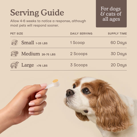 Fera Pets Liver Support