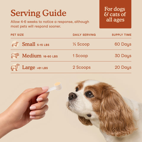 Fera Pets Organic USDA Probiotics + Prebiotics | Powder