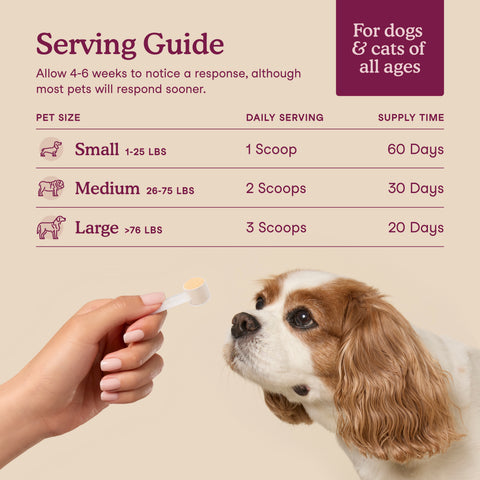 Fera Pets Bladder Support