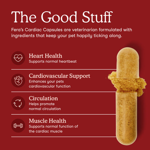 Fera Pets Cardiac Support