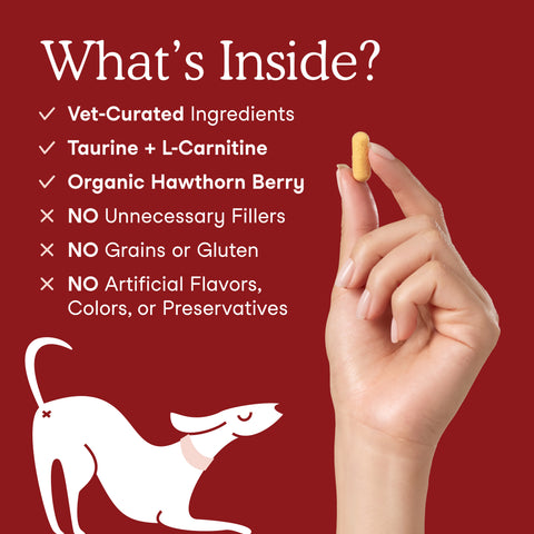 Fera Pets Cardiac Support