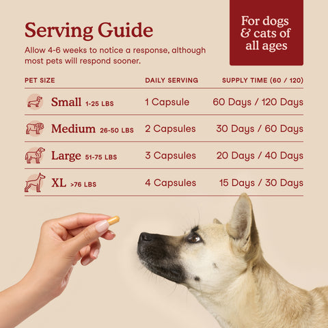 Fera Pets Cardiac Support