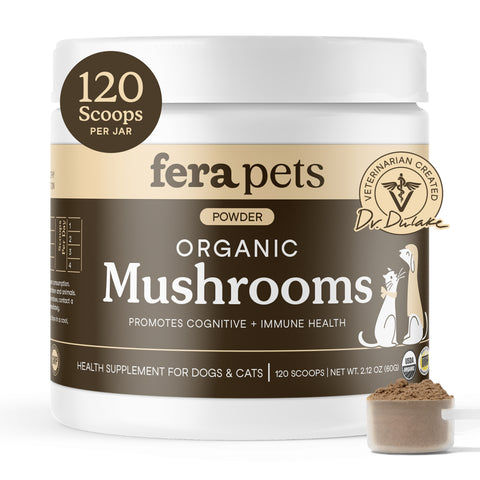Fera Pets Organic Mushroom Blend for Immune Support