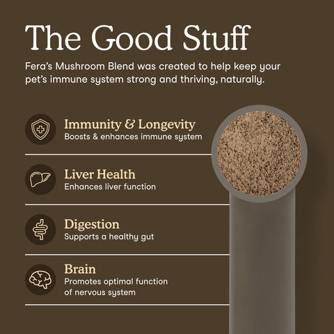 Fera Pets Organic Mushroom Blend for Immune Support