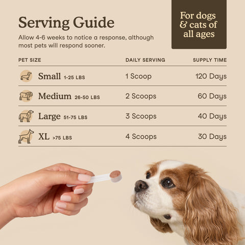 Fera Pets Organic Mushroom Blend for Immune Support