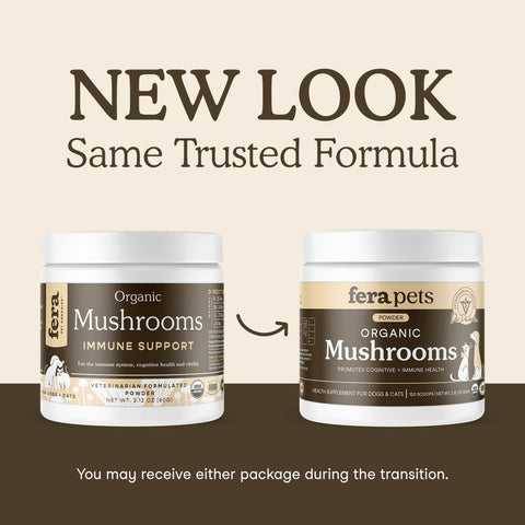 Fera Pets Organic Mushroom Blend for Immune Support