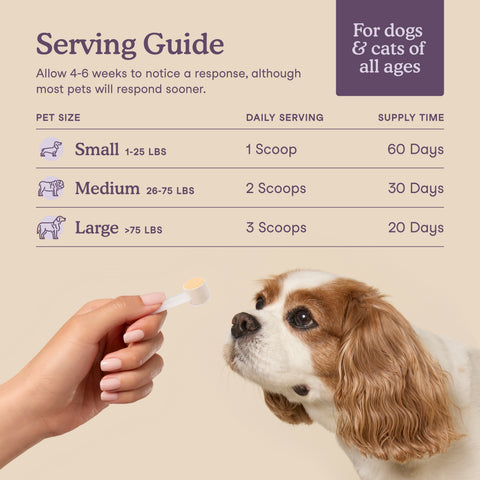 Fera Pets Calming Support | Powder