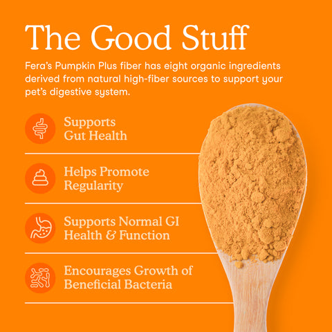Fera Pets Organic Pumpkin Plus Fiber Support