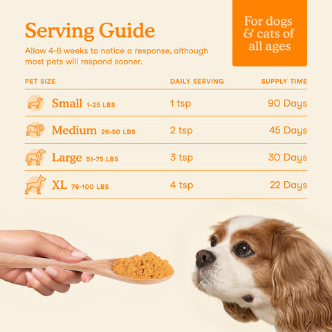 Fera Pets Organic Pumpkin Plus Fiber Support