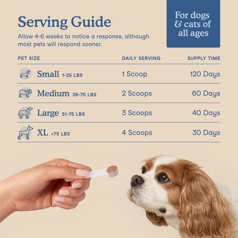 Fera Pets Organic Postbiotics Plus