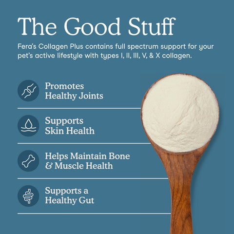 Fera Pets Collagen Plus