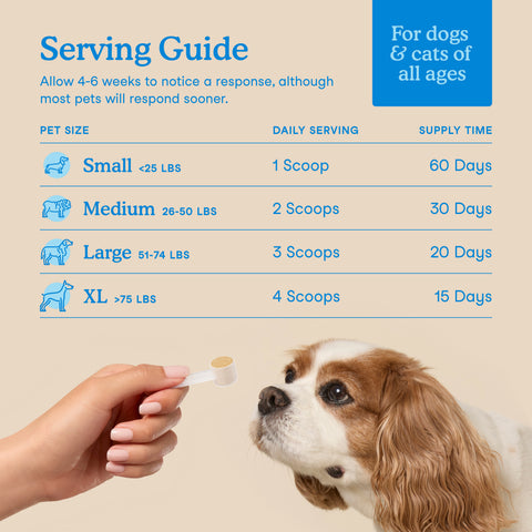 Fera Pets Dental Support