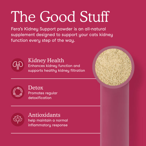 Fera Pets Kidney Support