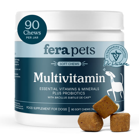 Fera Pets Multivitamin | Soft Chews