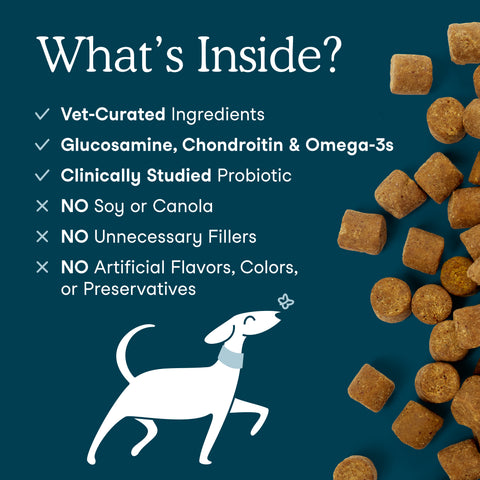 Fera Pets Multivitamin | Soft Chews