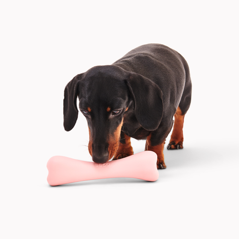 Beco Treat Bone