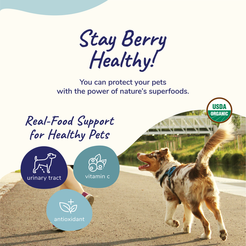 kin+kind Organic Supplement - Healthy Immunity