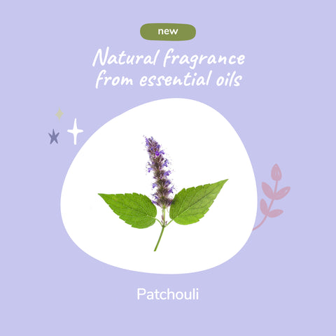 kin+kind Pet Coat Spray | Patchouli