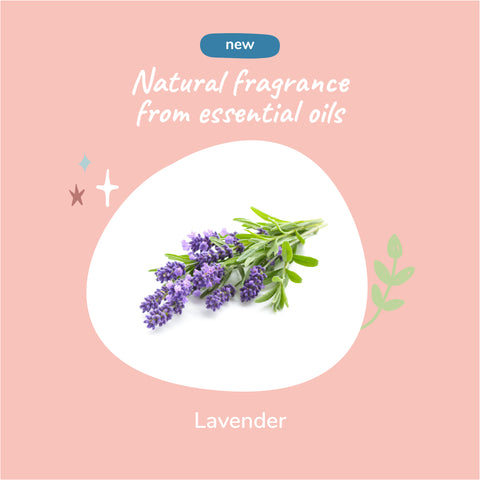 kin+kind Pet Coat Spray | Lavender