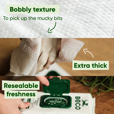 Beco Dog Wipes | Unscented