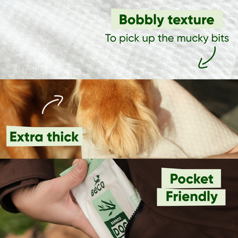 Beco Dog Wipes | Unscented