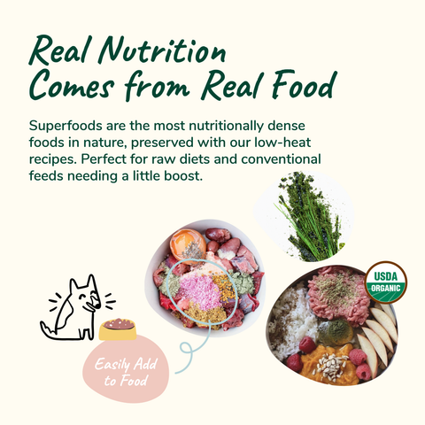 kin+kind Organic Supplement - Healthy Skin & Coat
