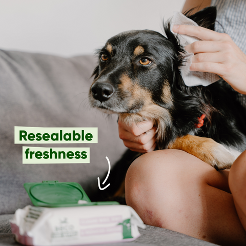 Beco Ear Wipes