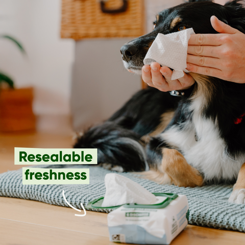 Beco Eye Wipes