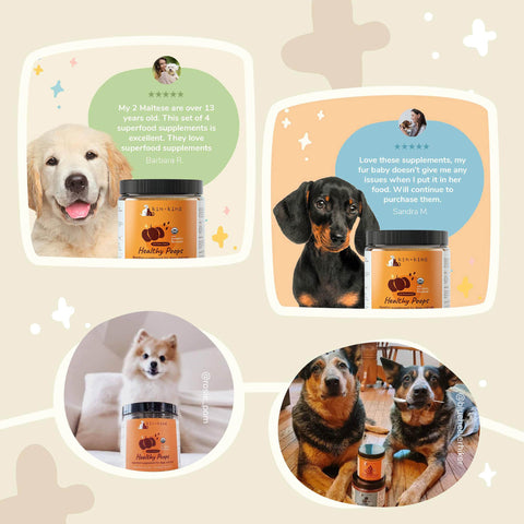 kin+kind Organic Supplement - Healthy Poops