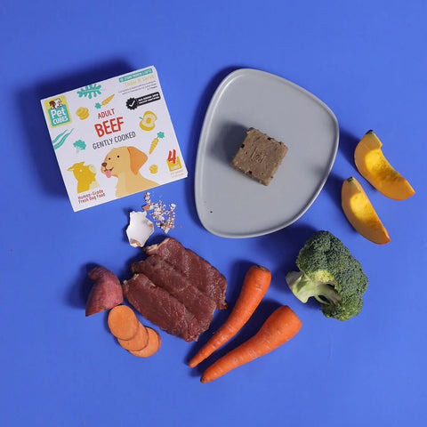 Petcubes: Raw For Adult Dog | Quiz