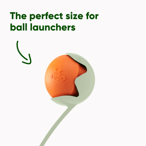 Beco Fetch Ball