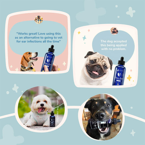 kin+kind Organic Clean Ears (Dog)