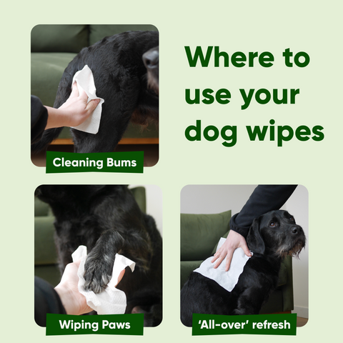 Beco Dog Wipes | Unscented