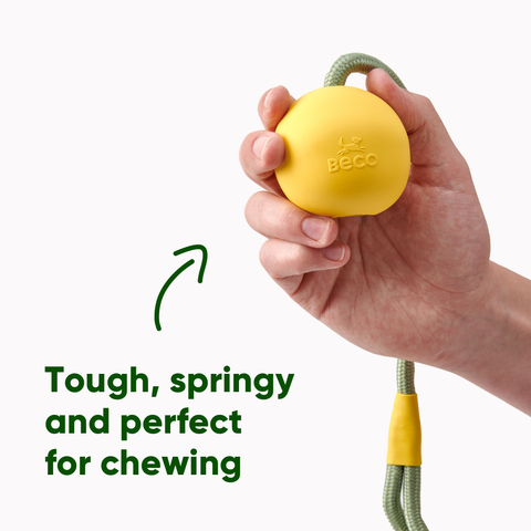 Beco Slinger Ball