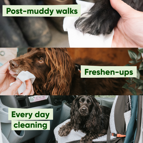 Beco Dog Wipes | Unscented