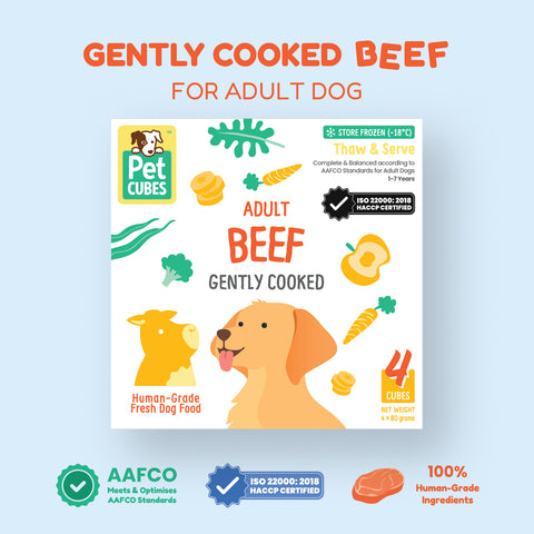 Petcubes: Raw For Adult Dog | Quiz