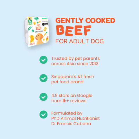 Petcubes: Raw For Adult Dog | Quiz