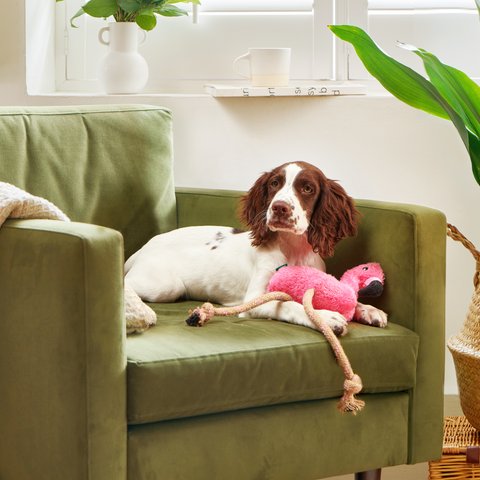 Beco Plush Dog Toy | Flamingo