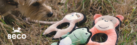 Beco Plush Dog Toy |  Orangutan