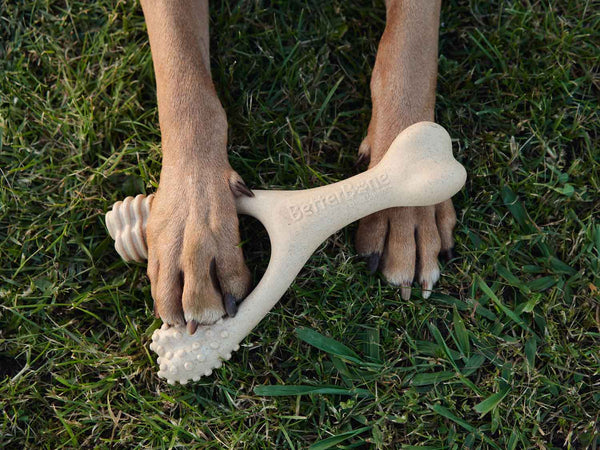 BetterBone®