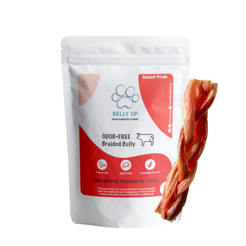 Belly Up 100% Natural Beef Bully Stick | Odour-Free