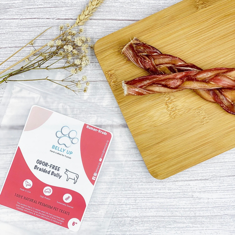 Belly Up 100% Natural Beef Bully Stick | Odour-Free